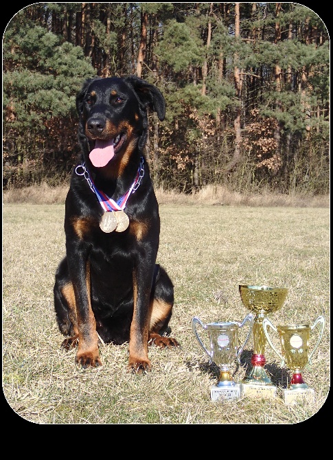 Canis Mayrau - Heroine - 2 years