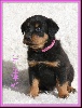  - Female available 