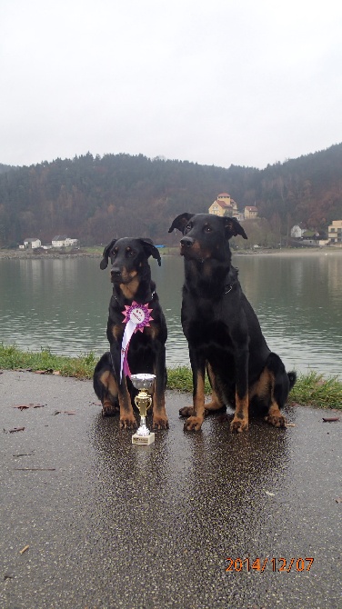 Canis Mayrau - Heroine and Choisi are Austrian Champion