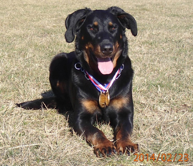 Canis Mayrau - Heroine is Hungaria champion