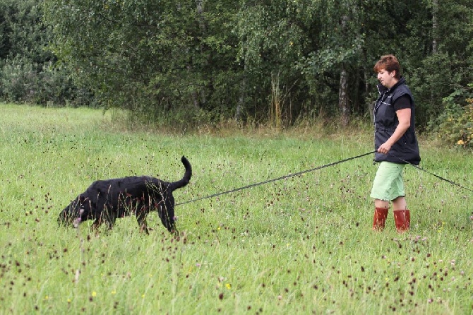 Canis Mayrau - Heroine passed the exam ZOP and FPR1